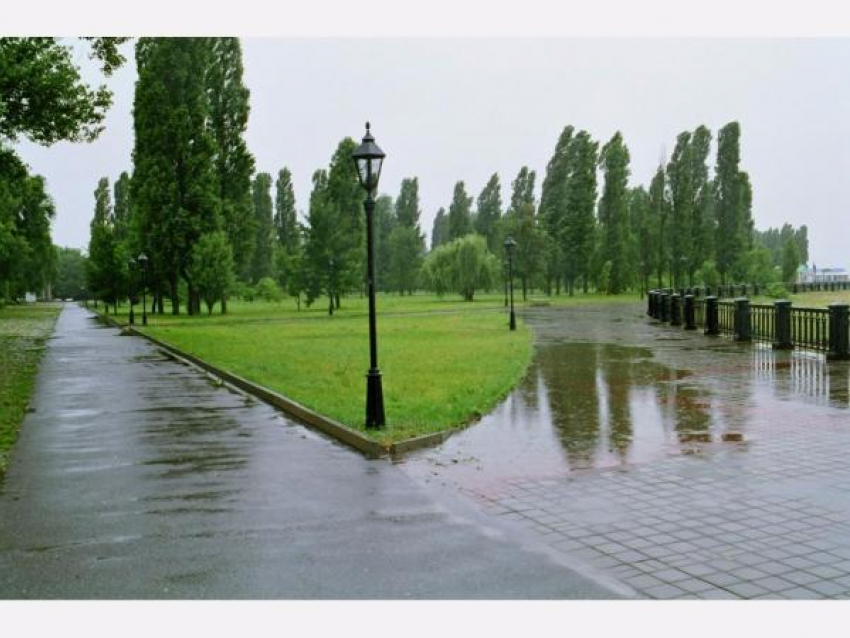 Дождливая и ветреная неделя ждет жителей Таганрога