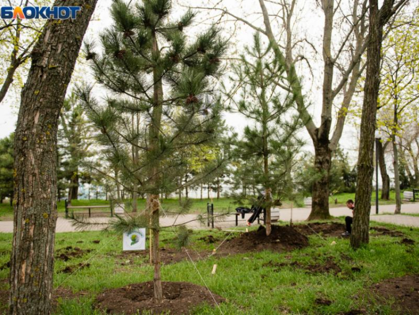 Таганрог: прогноз погоды на выходные дни 18 и 19 марта