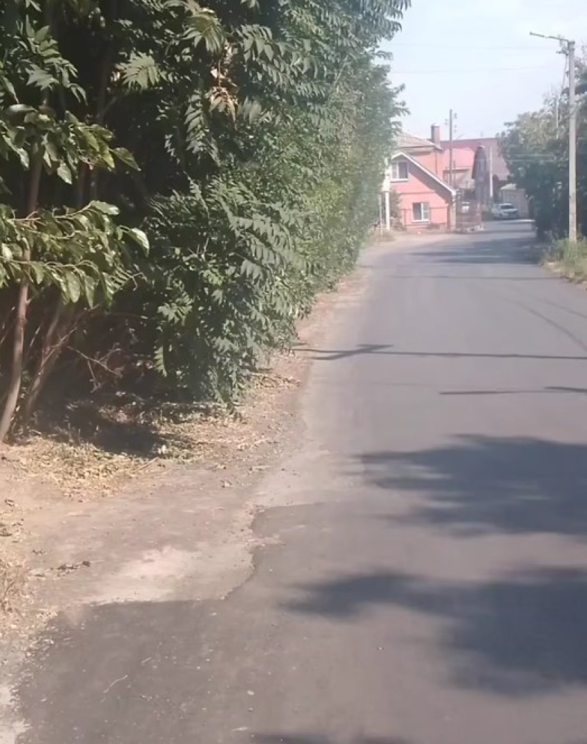 «Дорога с дырами»: таганрожцы требуют устранить опасный дефект на Большом Садовом