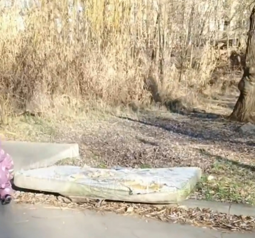 Камыш остаётся: администрация объяснила, почему рощу «Дубки» нельзя привести в порядок по-простому