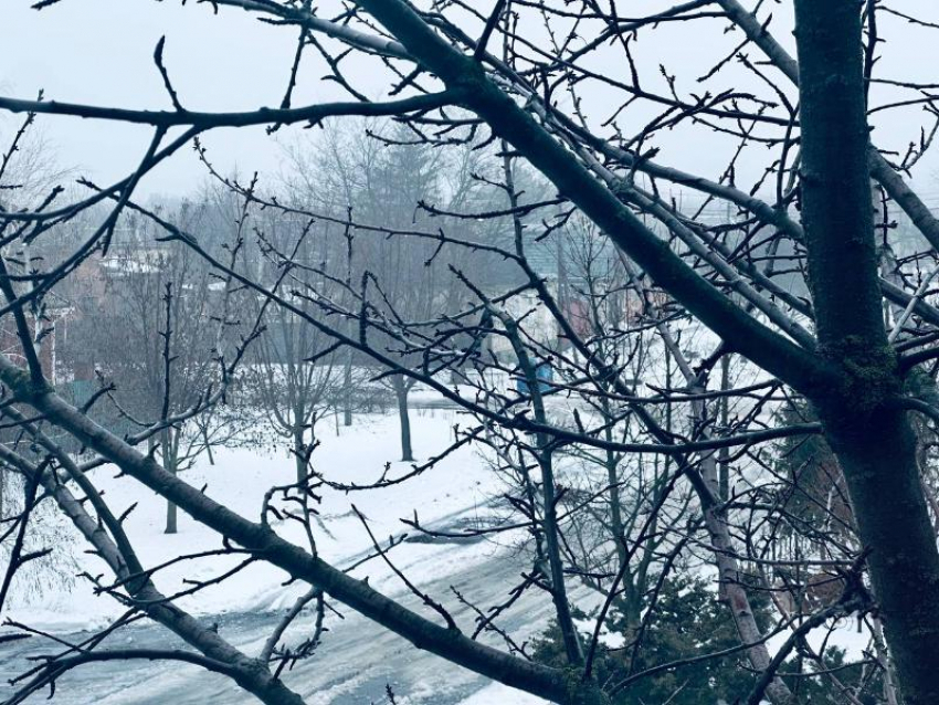 Таганрожцев ждут погодные пляски на Масличную неделю