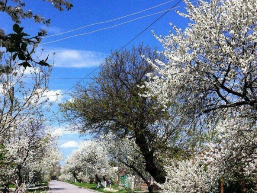 Погода в Таганроге: будет  тепло, на День Победы ожидается дождь