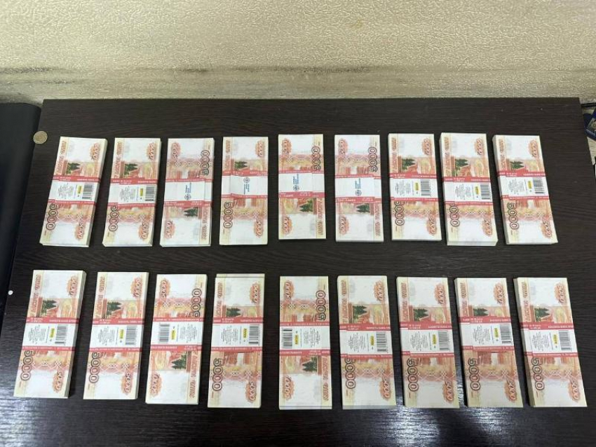 Директор фирмы из Таганрога украл десятки миллионов рублей на госзаказе в Приморье