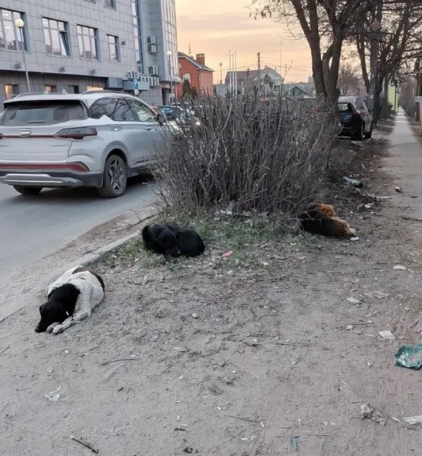 "Это — туристический Армаггедон": таганрожцы показали запустение возле Старого вокзала