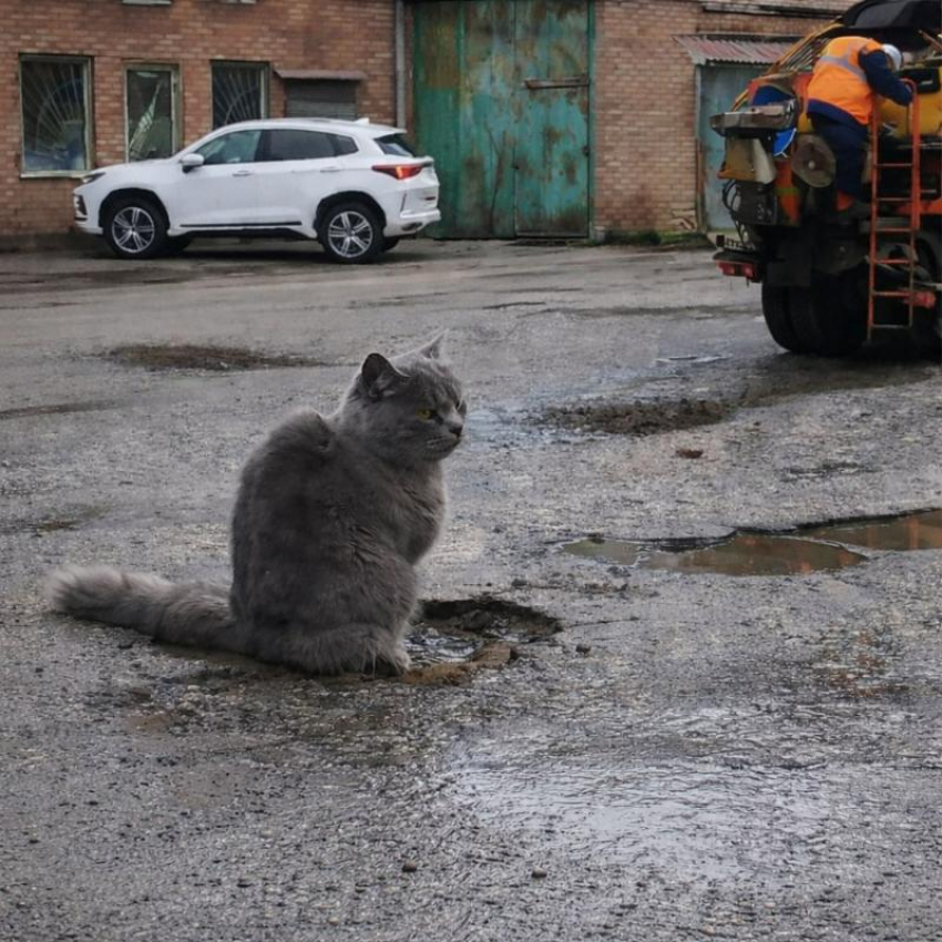 Что делать будем: администрация рассказала о планах на дороги Таганрога