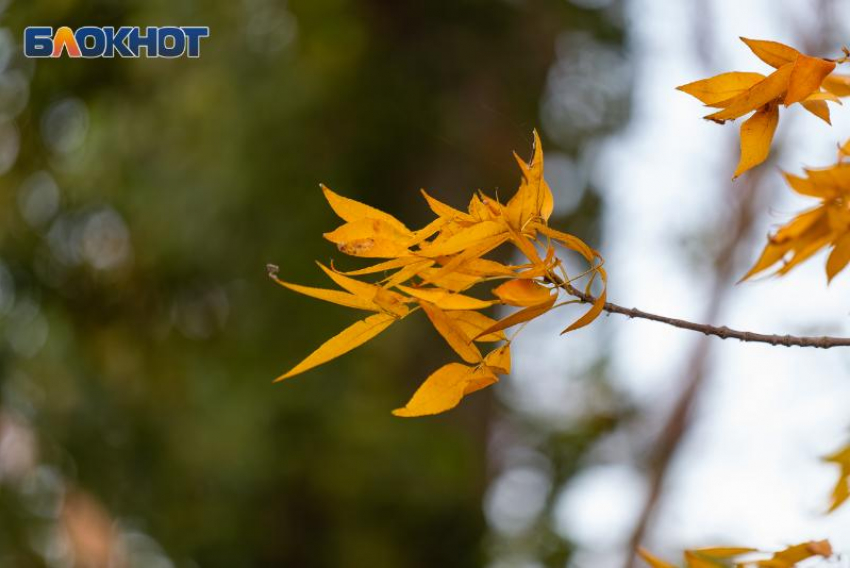 Главные советы для таганрожцев, чтобы провести день Лонгина Сотника правильно