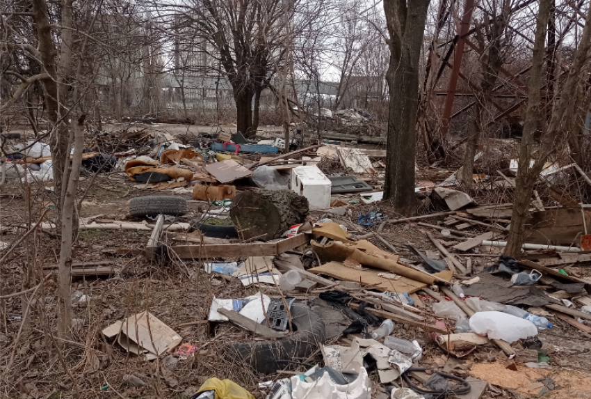 Месячник чистоты в Таганроге идет не по плану 