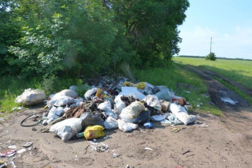 Таганрог занял второе место по числу свалок 