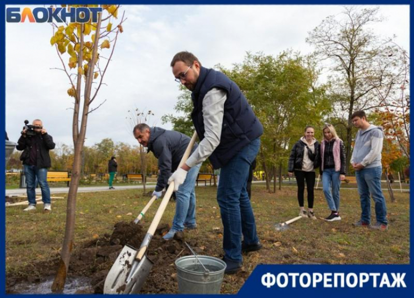  Министр ЖКХ Ростовской области приехал в Таганрог сажать деревья и убирать мусор
