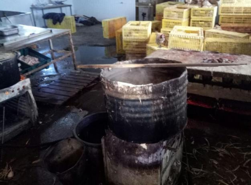 Почти тонну незаконной куриной продукции изъяли под Таганрогом