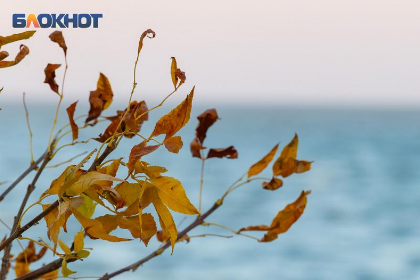 23 октября: народные приметы и советы для таганрожцев на день Евлампия Зимоуказателя