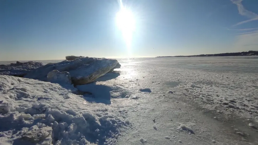 "Птички моржуют": тагагроженка поделилась эффектными фотографиями зимнего пляжа