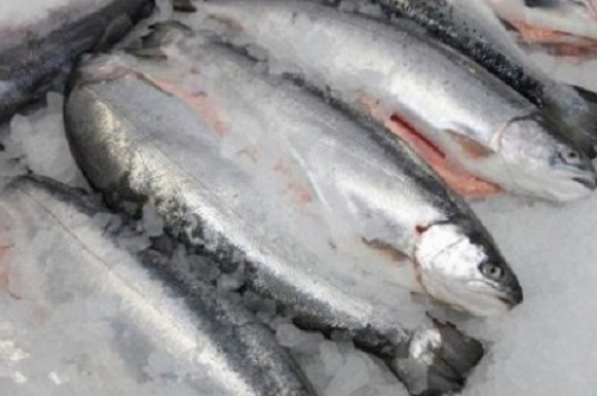 В Таганрог из Волгодонска пытались провести 3,5 тонны мороженного судака