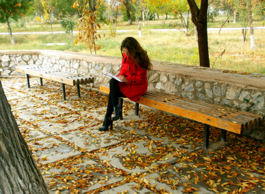 Властям Таганрога предложили обустроить город скамейками с подогревом 