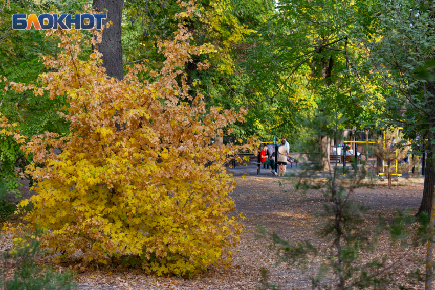На выходных, если повезет, в Таганроге потеплеет