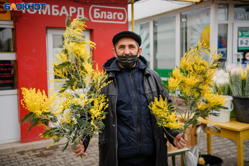 Почему на 8 марта нам дарят мимозы? - tdksovremennik.ru - Нижний Новгород - Женский журнал