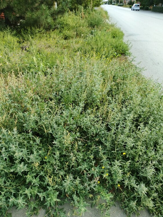 8ee90c9b-e807-4331-a43a-44bf35c48f7a (1).jpg